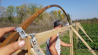 видео: В гостях у известного клубничника Кубани Михаила Острохишко. картинка: В гостях у известного клубничника Кубани Михаила Острохишко.