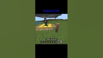 Trolling Vindicator #minecraft #shorts #minecraftviral #vindicator