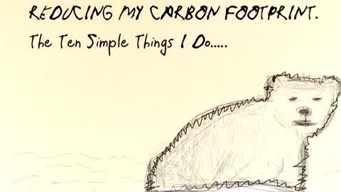 Reducing My Carbon Footprint by Marie Baer