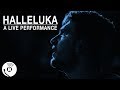 Halleluka an ode to luka doncic official music  the ringer