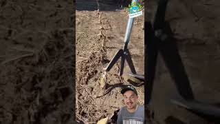 Unealta Ideala In Scos Radacini Ce Parere Ai De Ea?