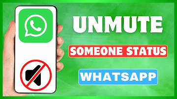 How To Unmute Someone Status On WhatsApp | Unmute WhatsApp Status