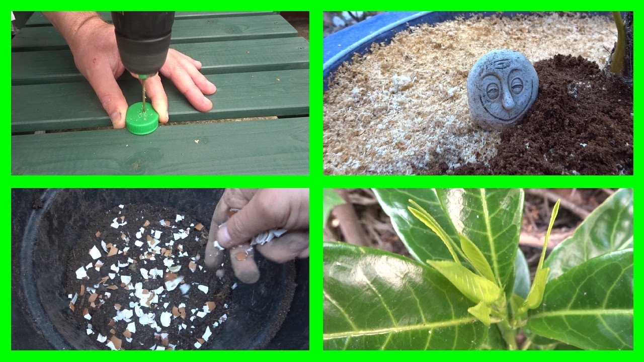 10 Money Saving Gardening Hacks! Tips! Ideas! 