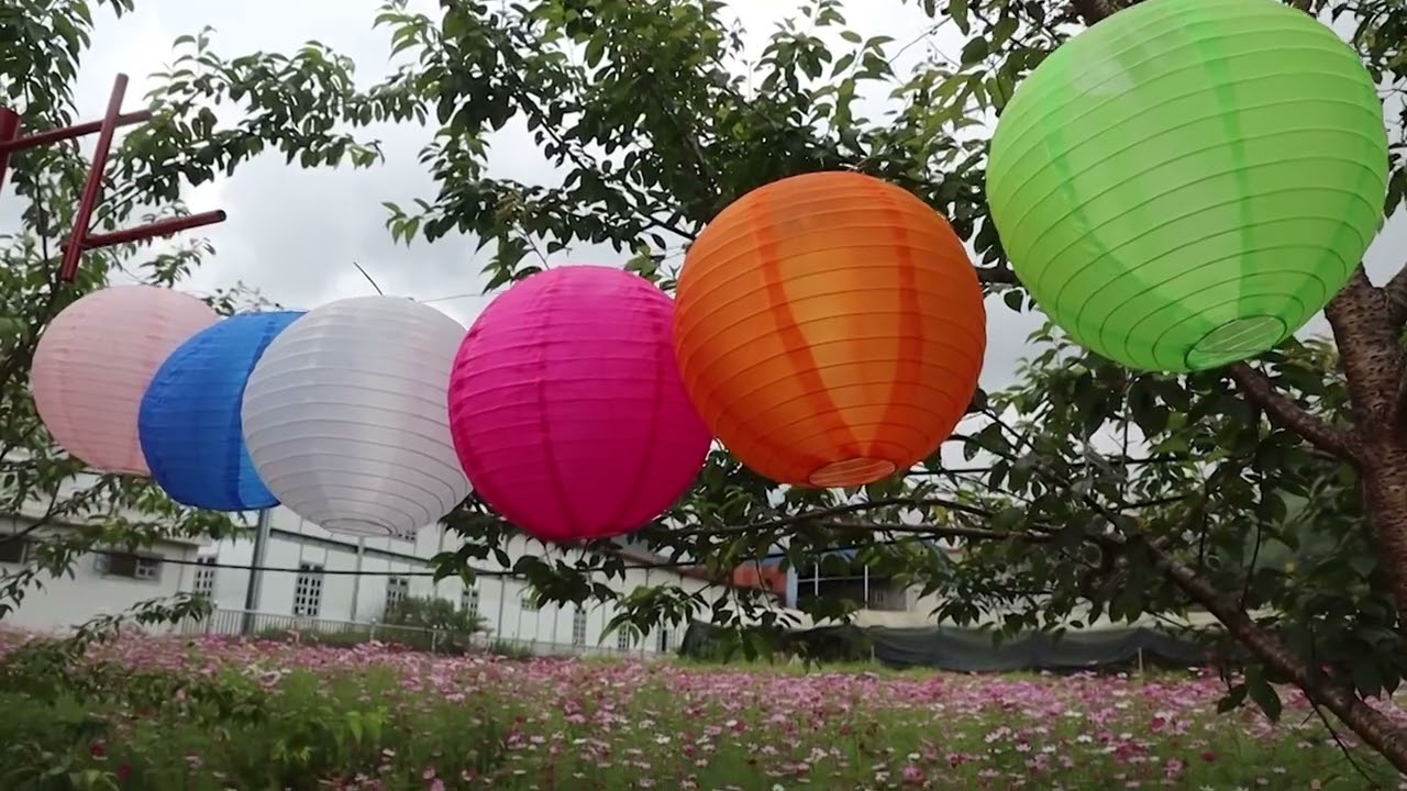 XÂY DỰNG VÀ PHÁT TRIỂN MÔ HÌNH DU LỊCH TRẢI NGHIỆM NÔNG NGHIỆP GẮN VỚI KHU NGHIÊN CỨU ỨNG DỤNG