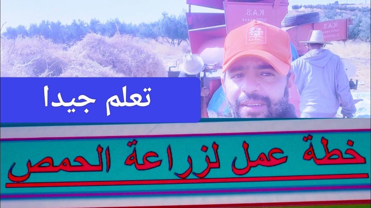 دورة شاملة لزراعة الحمص من الزرع إلى الحصاد خطوة بخطوة للمبتدئين والمحترفين