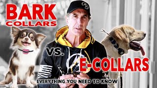 What’s the Difference between Bark Collars and ECollars?  How to use an Anti Bark Collar