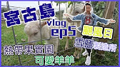 宮古島 自駕遊家族大旅行 日本宮古島旅遊vlog Ep1 日本最南端溫泉宮古島黃金溫泉 日本旅遊 同志生活日常 雞少的生活日誌 中字 Youtube 宮古島 自駕遊家族大旅行 日本宮古島旅遊vlog Ep1 日本最南端溫泉宮古島黃金溫泉 日本旅遊 同志生活日常 雞少的生活日誌 中字 Youtube