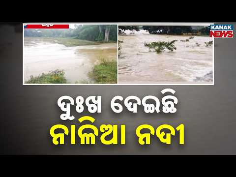 ଭଦ୍ରକରେ ପୁଣି ବନ୍ୟା | Bhadrak Flood Alert | Nalia River Floods Villages, 20-Ft Breach Hits Area