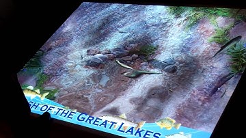 GestureTek - Aquarium (GestureFX)