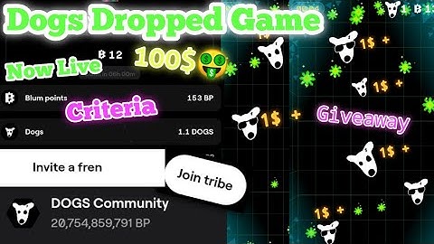 Blum DOGS Drop Game Received 🤑|Blum x Dogs Clamming |Blum Update