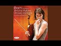 Violin Concerto in E Major, BWV 1042: III. Allegro assai