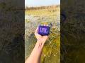 Jbl go 4 high jump water