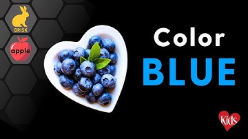 Learn About the Color BLUE! CVI Friendly Special Education