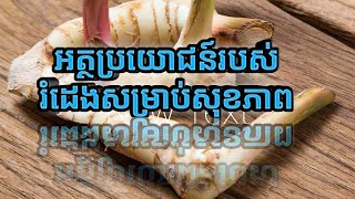 អត្ថប្រយោជន៍របស់រំដេងសម្រាប់សុខភាពBenefits of galangals for health|saemvorn