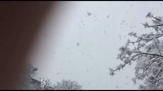 Benimle Yaşlan Sana Şiiri Resimi