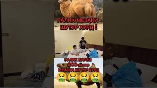 Ралик барои 200$ долар мезаки Уштур хурд