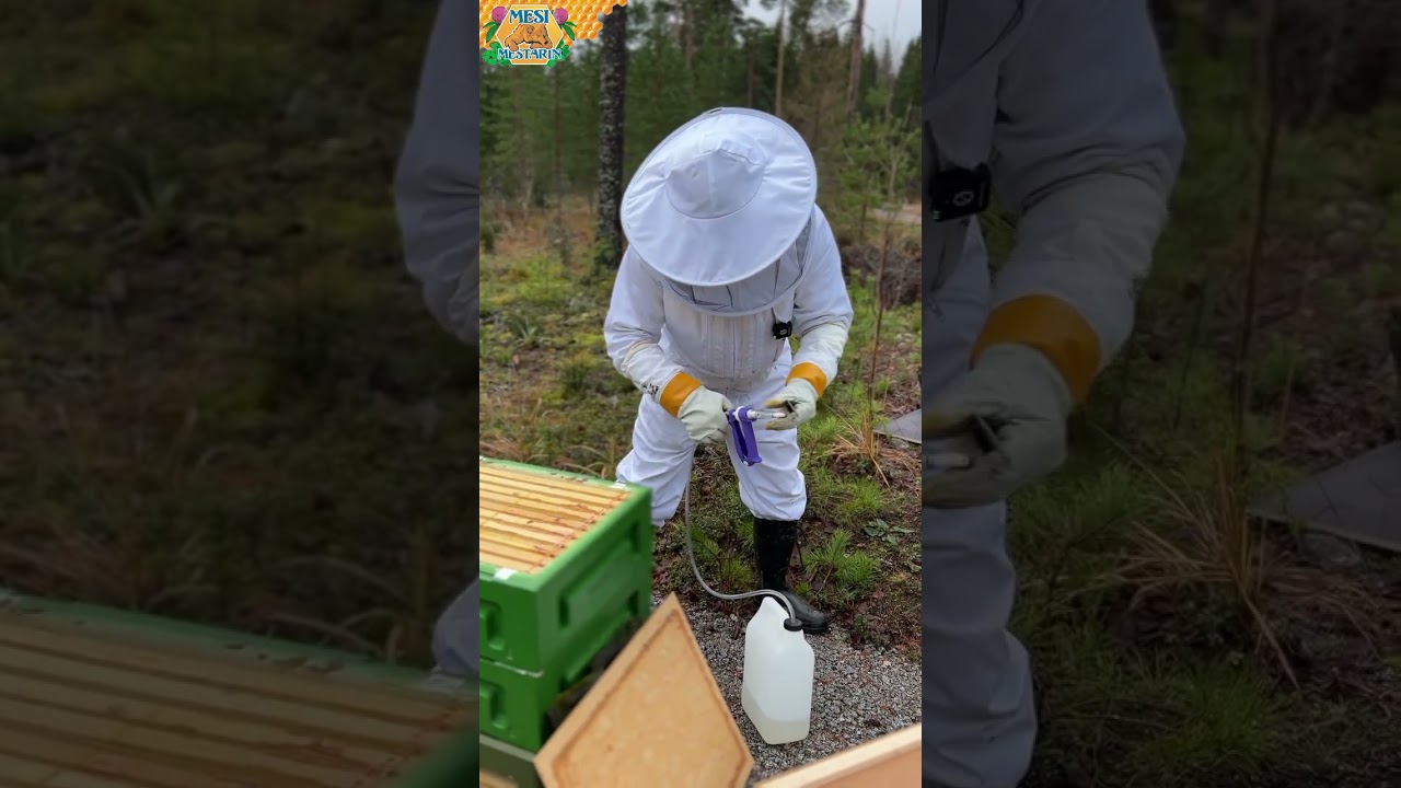 Mehiläispesä talvikuntoon. Honeypaw