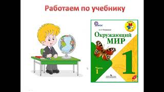 1кл.Окр.мир.Откуда в наш дом приходит вода.