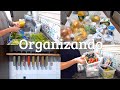Organização: higienizando as frutas e verduras + guardando as carnes!