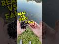 Real Worms VS Fake Worms shorts bassfishing