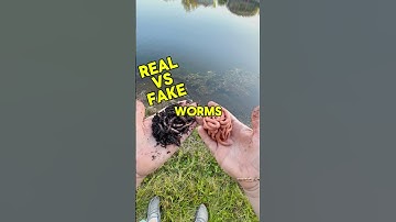 Real Worms VS Fake Worms! #shorts #bassfishing