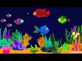 Soothing Underwater Fish🐬 Lullaby Music🎵Gentle Ocean Sounds for😴 Baby Bedtime Sleep