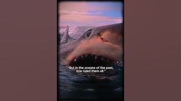 This Fish Was So Big, It Ate Sharks! 😱🐟💀 #prehistoric #oceanpredators #sciencefacts