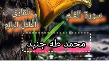 🦋سورة القلم بصوت الطفل الرائع محمد طه جنيد 🦋ماشاءالله
