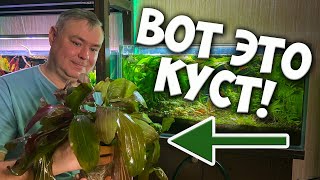 :    !      