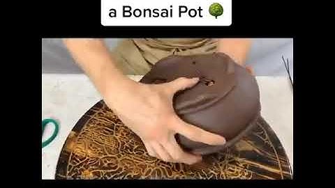 #tiktok viral - how to setup a bonsai pot // tutorial video from @thebonsaisupply