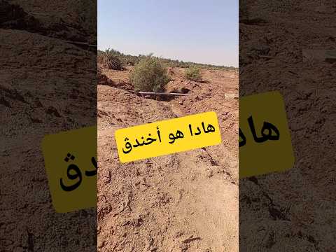 هادا هو أخندڨ الخندق كل واحد يهتم بالبستان نتاعو كل واحد وظروفو