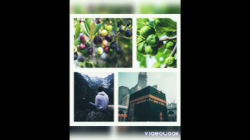 تبارك الله أحسن الخالقين / سورة التين .. ماهر المعيقلي💫✨