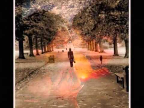 ضي القناديل عبد الحليم حافظ