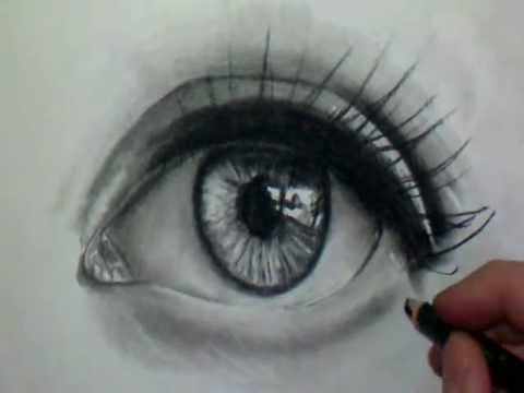 Comment Dessiner Vids Seo