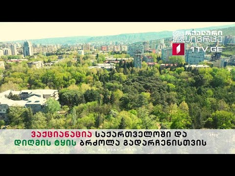 რეალური - ვაქციანაცია საქართველოში | დიღმის ტყის ბრძოლა გადარჩენისთვის #LIVE