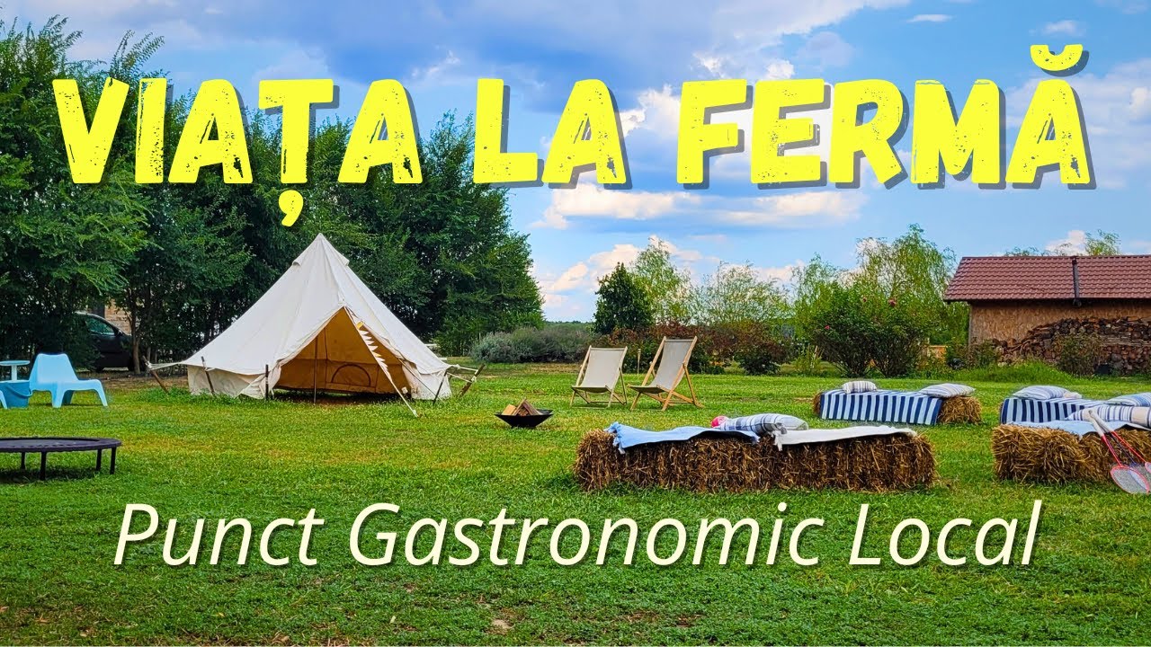 🧑‍🌾👩‍🌾 FERMA de FAMILIE care Hrănește Familii - FARMELY din Dragșina, jud. Timiș