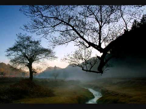 ლიპო ლიპარტელიანი,lipo liparteliani აპოკალიფსი