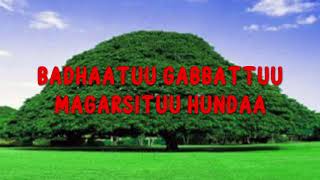 Faaruu Alaabaa Oromiyaa(walaloo/lyrics)