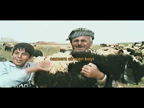 هەولیری جاران گوندی هەنارە  