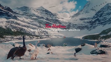 Tim Hortons | KindNest