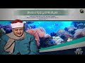 الشيخ عبدالباسط رحمه الله سورة الأعلى
