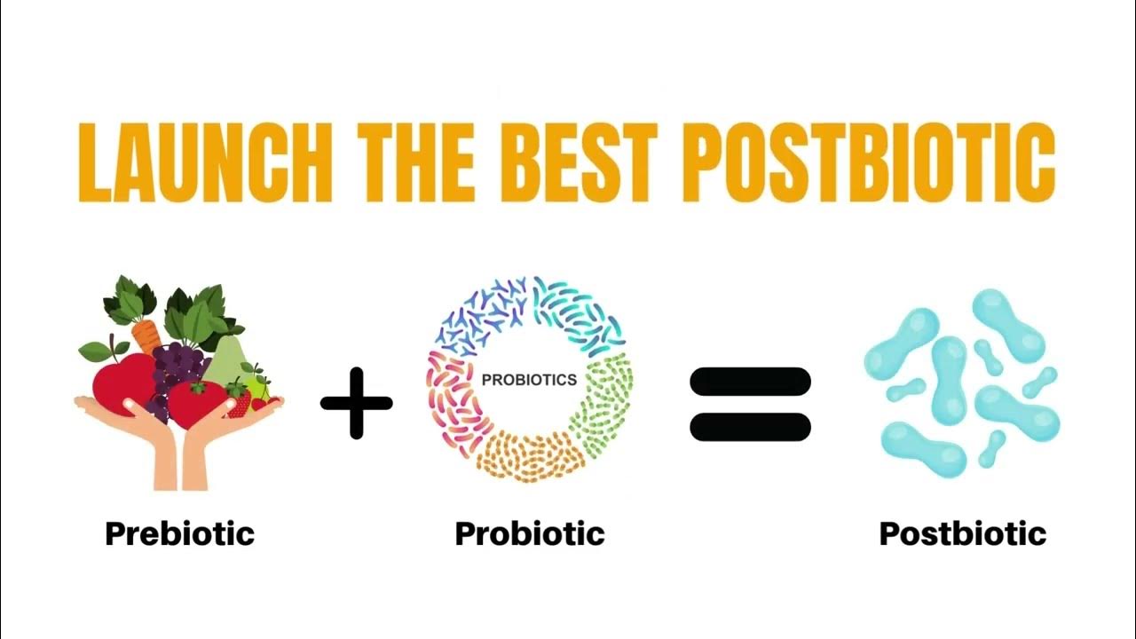 Launch Love Biome Body Souffle Get Benefit and Business Skincare Love