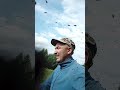 Пауты и мухота напали