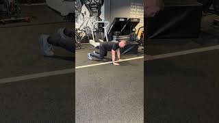 Bear Plank Shoulder Taps