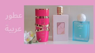 تجربتي مع عطور يارا كاندي و مسك باودر و أميرة العرب بريفيه روز#عطر#عطور#لطافة #إبراهيم_القرشي #أصداف screenshot 1