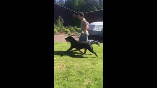 Beta Vom Hause Edelstein