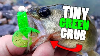 Pond Fishing with a Small Green Grub