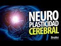 Neuroplasticidad Cerebral