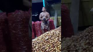 Goyang Jengkol