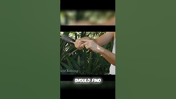 Perfect Sculling Grip: How to Hold the Oar Correctly